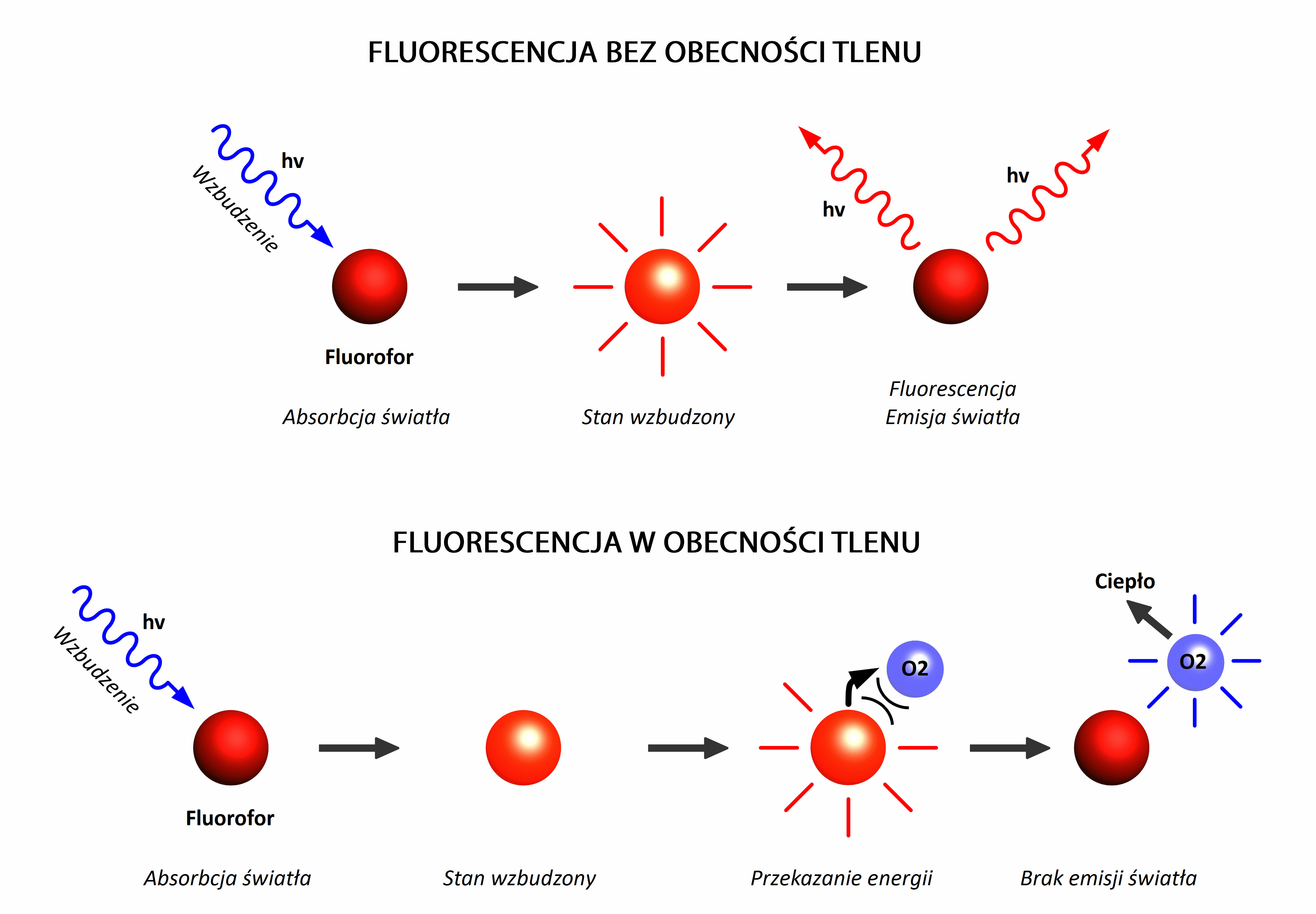 Rysunek fluorescencja PL